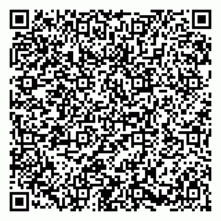 vCard 79580100027