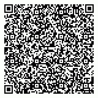 vCard 79580100051