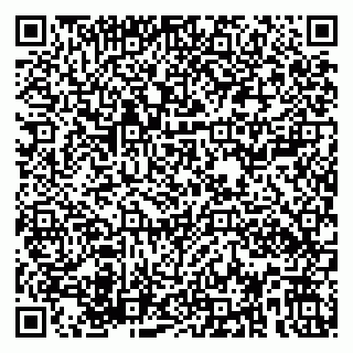vCard 79580100052