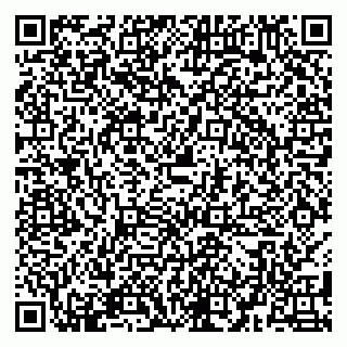 vCard 79580100085