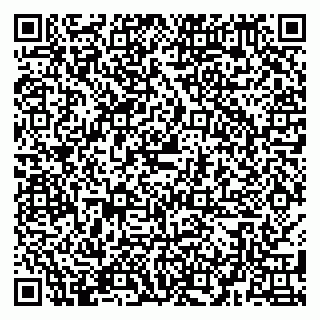 vCard 79580100088