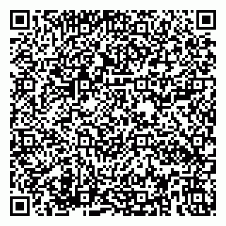 vCard 79580100093