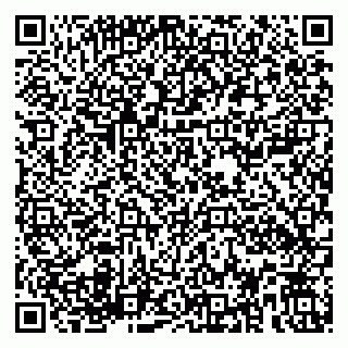 vCard 79580100096