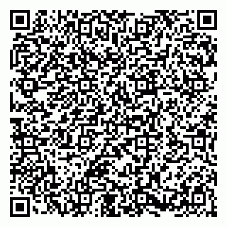 vCard 79580100118