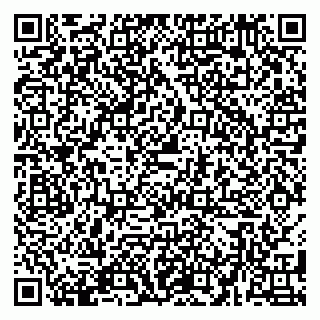 vCard 79580100119