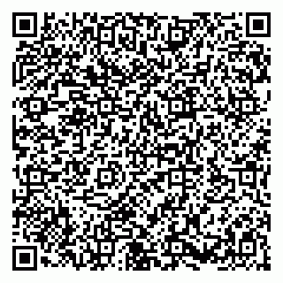 vCard 79580100131