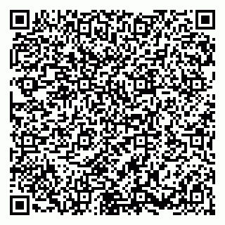 vCard 79580100133