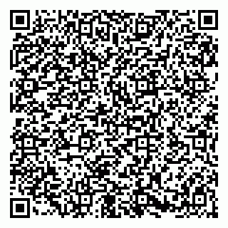 vCard 79580100163
