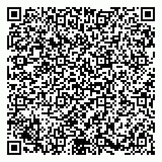 vCard 79580100173