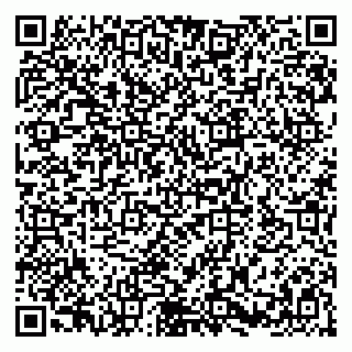 vCard 79580100221