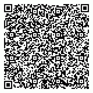 vCard 79580100251