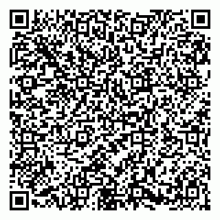 vCard 79580100266