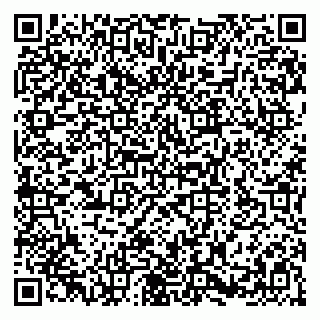vCard 79580100271