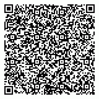 vCard 79580100295
