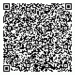 vCard 79580100300
