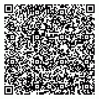 vCard 79580100301