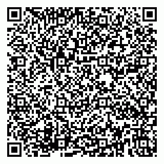 vCard 79580100303