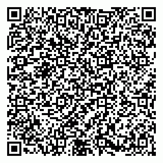 vCard 79580100304