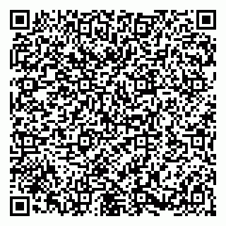 vCard 79580100313