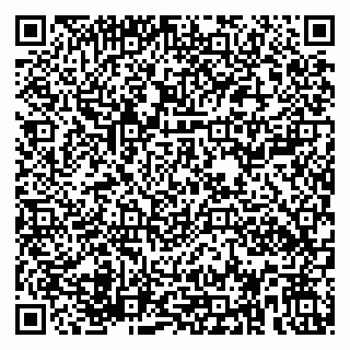 vCard 79580100317