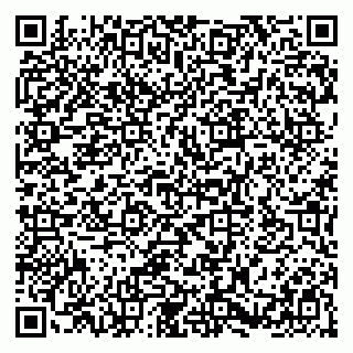 vCard 79580100319