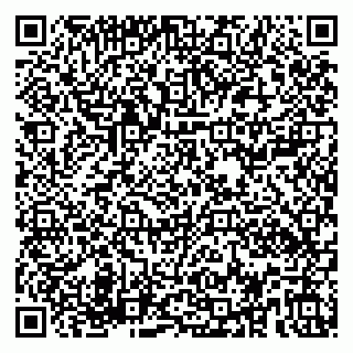 vCard 79580100329