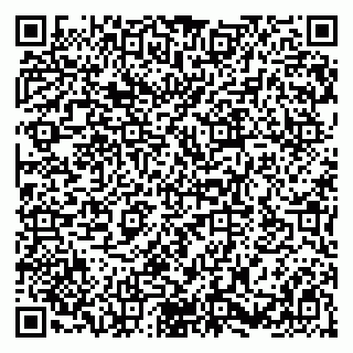vCard 79580100333