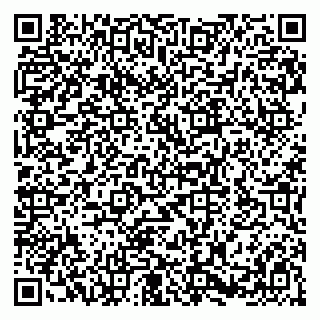 vCard 79580100373