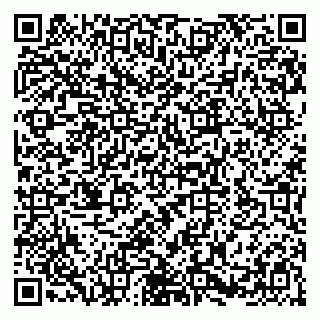 vCard 79580100378