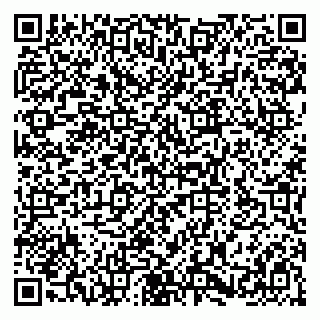vCard 79580100393