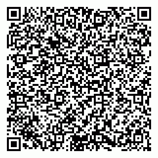 vCard 79580100399
