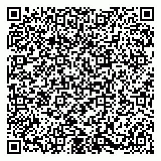 vCard 79580100403