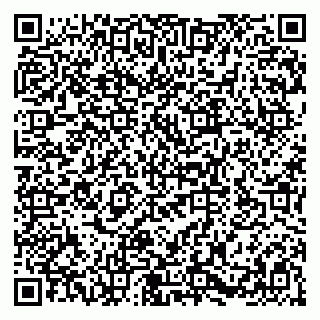vCard 79580100410