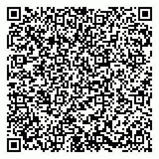 vCard 79580100411