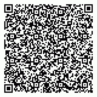 vCard 79580100413