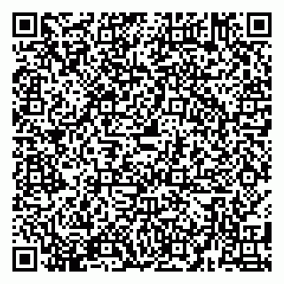 vCard 79580100493