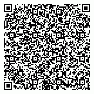 vCard 79580100500
