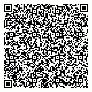 vCard 79580100509