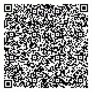 vCard 79580100519