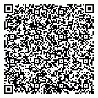 vCard 79580100521