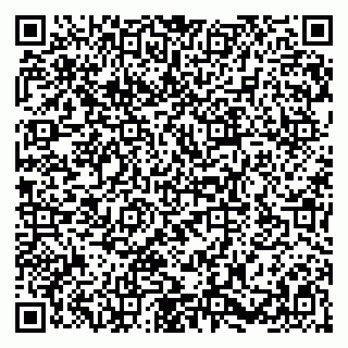 vCard 79580100531