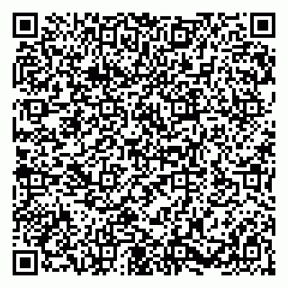 vCard 79580100533