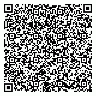 vCard 79580100539