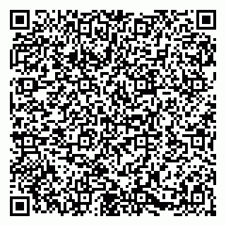 vCard 79580100541