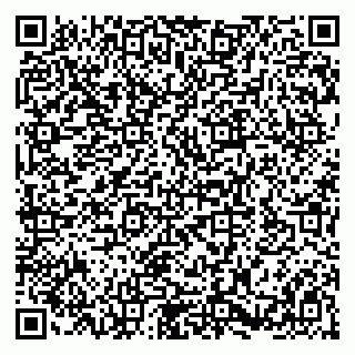 vCard 79580100613