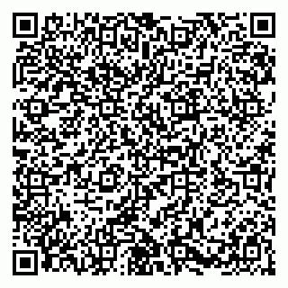 vCard 79580100729