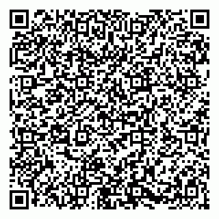 vCard 79580100771