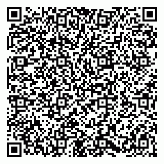 vCard 79580100793