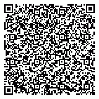 vCard 79580100871