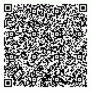 vCard 79580100873
